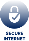 Secure icon